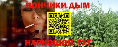 крисы Долгопрудный