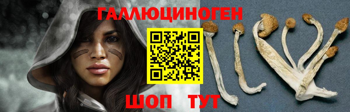 Галлюциногенные грибы прущие грибы Жигулёвск